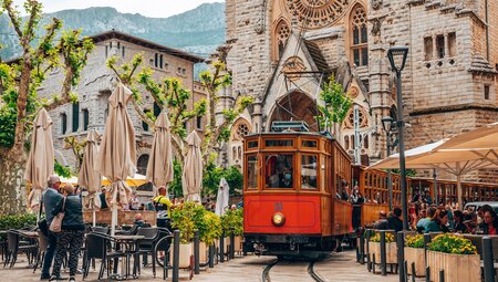 Mallorca zur Mandelblüte erwandern