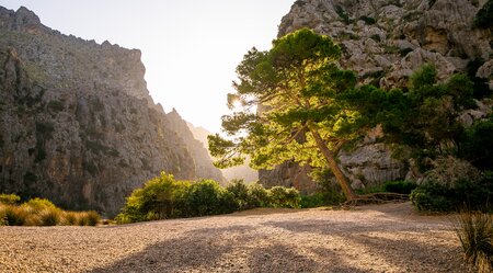 Mallorcas Schmugglerpfad erwandern - die Ruta del Contraban