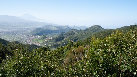 Teneriffas Highlights erwandern