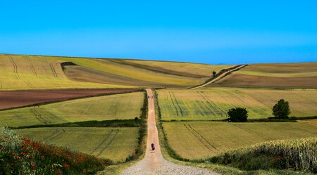 Jakobsweg - Englischer Weg: A Coruña-Santiago - 6 Tage