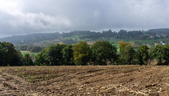 Jakobsweg - Englischer Weg: A Coruña-Santiago - 6 Tage