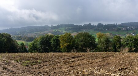 Jakobsweg - Englischer Weg: A Coruña-Santiago - 6 Tage