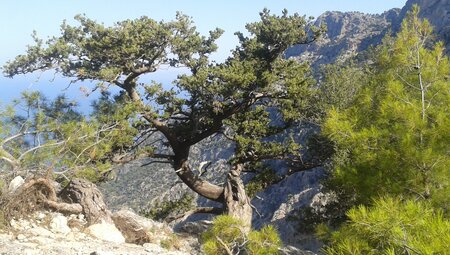 Türkei individuell - den Lykischen Weg erwandern