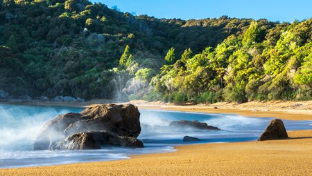 Naturparadies Neuseeland