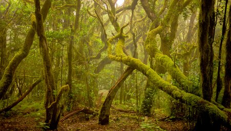 La Gomera individuell - Best of GR 132
