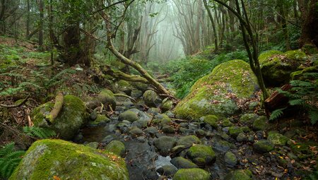 La Gomera sportlich erwandern