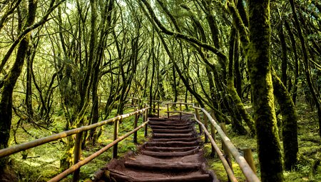 La Gomeras Highlights erwandern