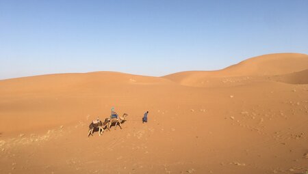 Wüstentrekking - Die goldenen Dünen im Erg Chebbi 