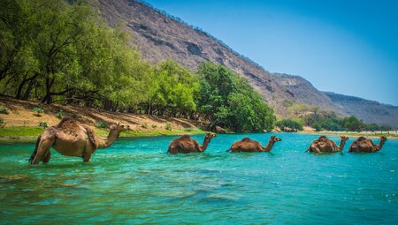 Wadi Darbat