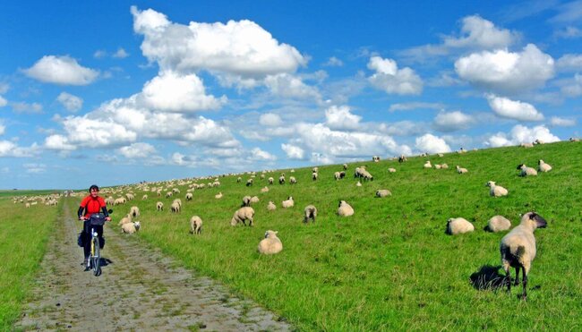 Ostfriesland Inselhüpfen, Borkum - Norderney - Langeoog (2 Nächte)