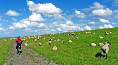 Ostfriesland Inselhüpfen: Borkum - Norderney - Langeoog