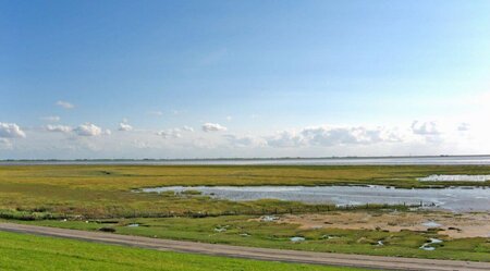 Ostfriesische Impressionen - Mit Gelegenheit zur Radtour auf der Insel Norderney