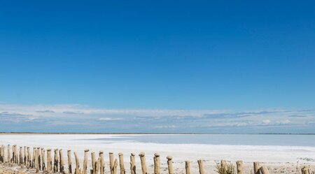 Frankreich Camargue