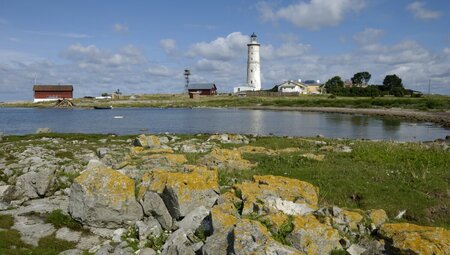 Radtour im Baltikum: Litauen - Lettland - Estland - halbgeführt
