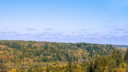 Radtour im Baltikum: Litauen - Lettland - Estland - halbgeführt