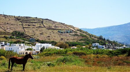 Griechenland - der Andros Trail