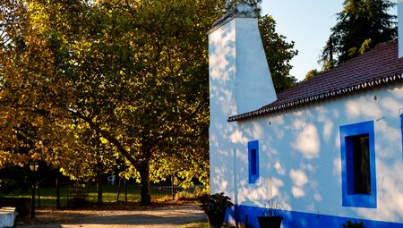 Portugals Vielfalt - 3-Regionen-Tour
