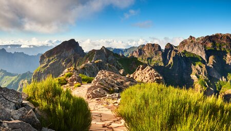 Madeira - die Garteninsel in Freiheit