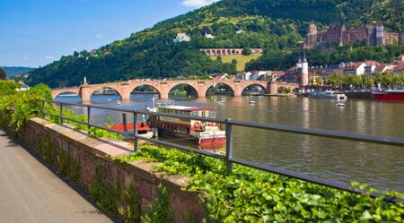 Winzertour am Rhein - Durch Weinreben zu den Kaiserdomen