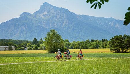 Alpe-Adria-Radweg Salzburg-Grado 8 Tage