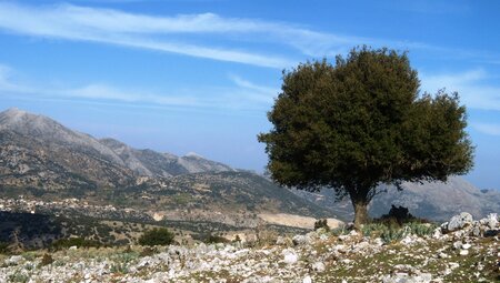 Griechenland - Wanderreise Kefalonia