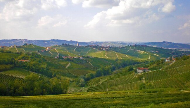 Piemont für Genießer - Trüffel, Wein und Schokolade