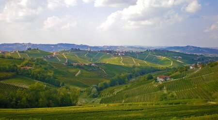 Piemont für Genießer - Trüffel, Wein und Schokolade