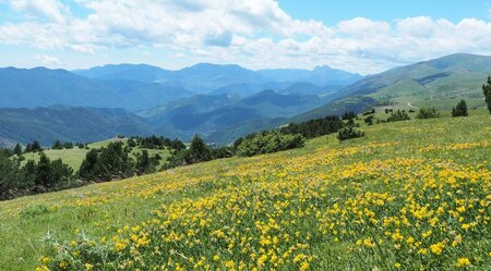 Pyrenäen - Schmugglertrail - eMTB-Abenteuer in den Pyrenäen