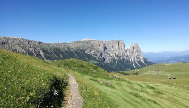 Südtirol - am Kastanienweg von Brixen nach Bozen