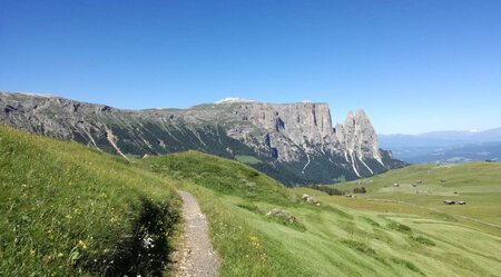 Südtirol - am Kastanienweg von Brixen nach Bozen