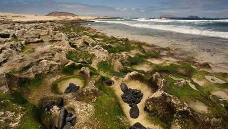 Lanzarotes Highlights erwandern