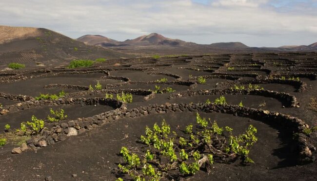 Lanzarotes Highlights erwandern