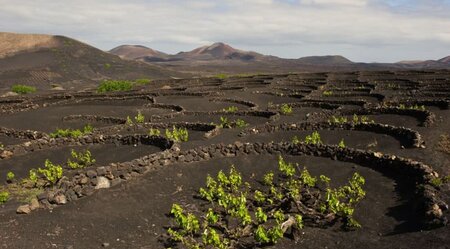 Lanzarotes Highlights erwandern