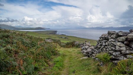 8‑tägige Selbstgeführte Wanderung auf dem Dingle Way – Komforttour