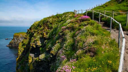 7‑tägige selbstgeführte Wanderung an der Antrim Causeway Coast
