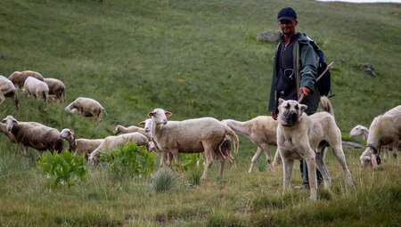 High Scardus Trail individuell High Scardus Trail individuell