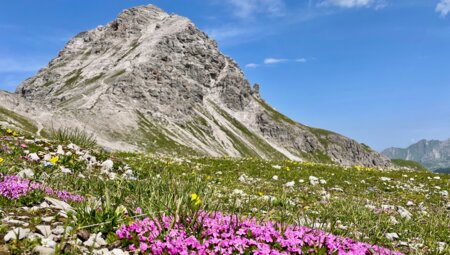 Leichte Alpenüberquerung vom Allgäu nach Südtirol mit Hotelkomfort