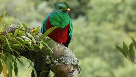 Costa Rica für Singles und Alleinreisende