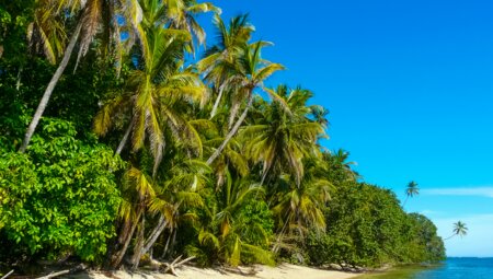 Costa Rica für Singles und Alleinreisende