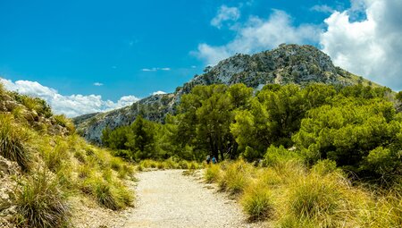 Mallorcas Ostküste erwandern
