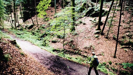 Tiefe Schluchten & bizarre Felsen - Wandern in der Sächsischen Schweiz