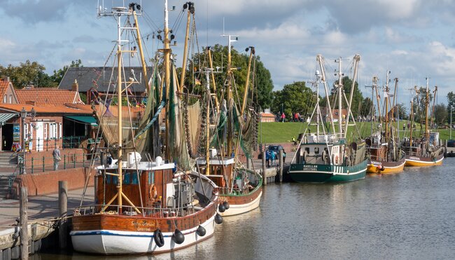 Am Elbufer zur Nordsee - Magdeburg - Hamburg 9 Tage