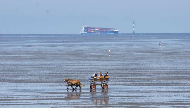 Am Elbufer zur Nordsee - Magdeburg - Cuxhaven 10 Tage