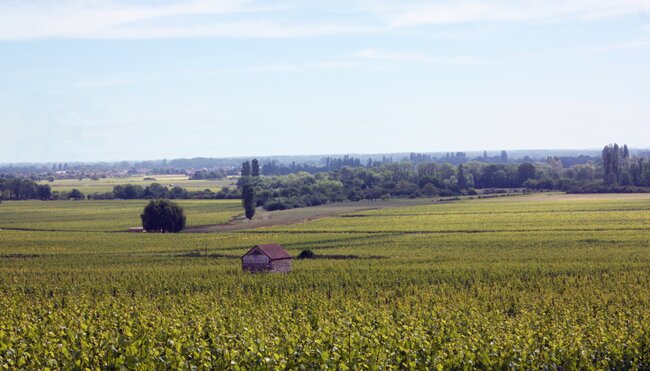 Südburgund Landschaft