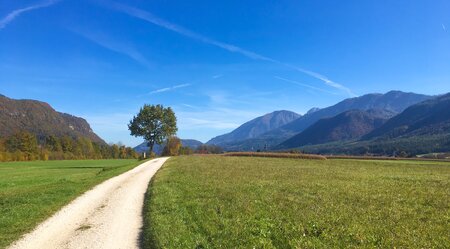 Radweg Österreich