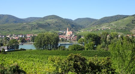 Welterbesteg Wachau Spitz