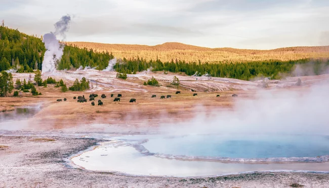 USA - Die Nationalparks der Rocky Mountains