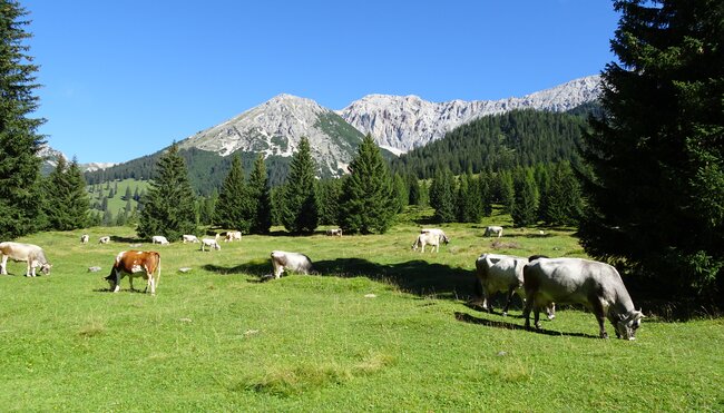 Rund um die Zugspitze 7 Tage - mit Charme