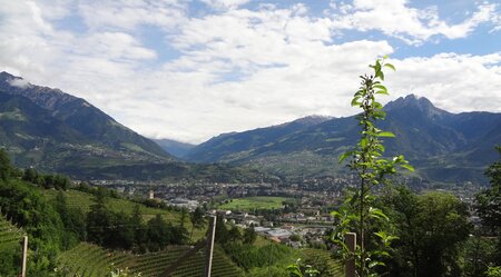 Italien südliche Weinstraße