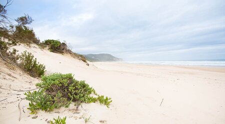 Südafrika Strand